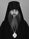 В состав Общественной палаты избран епископ Саратовский Лонгин