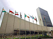 Состоялось очередное заседание бюро Комитета религиозных НПО при ООН
