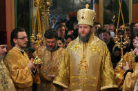 Епископ Моравичский Антоний: 'Нам нужна духовная поддержка всех Православных Церквей'