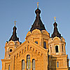 Купола собора Александра Невского в Нижнем Новгороде будут покрыты позолотой
