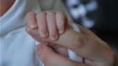 Пресс-конференция «Как бороться с эпидемией абортов?» пройдет в РИА «Новости»