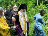 Священник Матфей Уильямс: Члены миссии на Гаити могут рассчитывать только на помощь православных