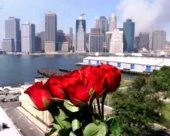В храмах Русской Зарубежной Церкви будут молиться о жертвах теракта 11 сентября