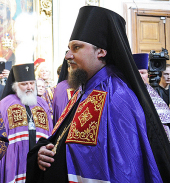 Постављена слика