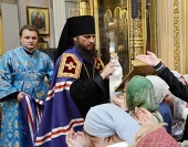 3VSN_4931.jpg
