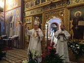 В дни рождественских праздников епископ Подольский Тихон посетил Австрию и Венгрию