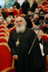 Второй день работы Архиерейского Собора Русской Православной Церкви (3 февраля 2016 г.)