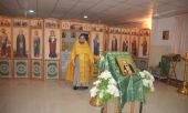 Преподаватели Нижегородской духовной семинарии совершили пастырскую поездку в Индию