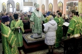 Епископ Шахтинский Симон совершил чин присоединения к Православию