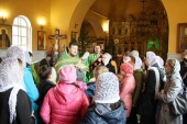 В день Святой Троицы в Димитровграде состоялась экологическая акция «Дармарка»