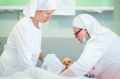 В московской больнице святителя Алексия открывается новое паллиативное отделение