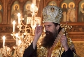 Митрополит Видинский Даниил: Константинополь на Украине действует против правил