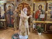 Патриаршее служение в день памяти святителя Николая Чудотворца в Александро-Невском скиту