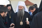 Епископ Моравичский Антоний: «Патриарха Порфирия любят все архиереи Сербской Церкви»