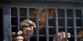 В Пакистане христианин приговорен к пожизненному заключению по бездоказательному обвинению в богохульстве