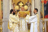 Митрополит Филиппопольский Нифон избран постоянным членом Священного Синода Антиохийской Православной Церкви