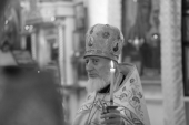Скончался клирик Тульской епархии архимандрит Герман (Попков)