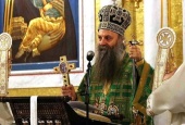 Собранные в сербских храмах пожертвования передадут Украинской Православной Церкви