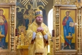 Епископ Волновахский Амвросий получил ранение при обстреле Никольского монастыря