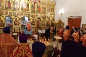 Председатель Синодального комитета по взаимодействию с казачеством возглавил соборную молитву о казаках
