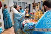 Престольный праздник Успенского прихода в Сингапуре возглавил епископ Джакартский Питирим