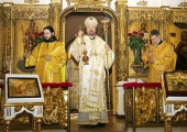 Єпископ Горнокарловацький Герасим: Українська Православна Церква страждає від терору, який позбавляє її основних прав людини