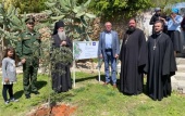 На подворье Русской духовной миссии в Яффе высажен «Сад памяти»