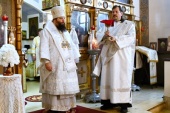 Состоялся визит Первоиерарха Русской Зарубежной Церкви в Аргентину