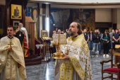 Представитель Русской Православной Церкви сослужил иерарху Македонской Православной Церкви – Охридской Архиепископии