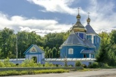Прихильники «ПЦУ» силоміць захопили храм Української Православної Церкви в Адамівці