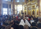 Епископ Верейский Пантелеимон провел заседание секции Рождественских чтений, посвященное помощи пострадавшим мирным жителям в зоне конфликта