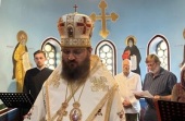 И.о. Патриаршего экзарха Африки: Еще ряд священников желают перейти в Русскую Православную Церковь