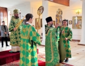 В праздник Святой Троицы Патриарший экзарх Африки совершил Литургию в Сергиевском храме в ЮАР