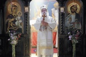 Metropolitan of Dabar-Bosnia Hrizostom: “The actions of the Kiev authorities with regard to the Ukrainian Orthodox Church are unprecedented”