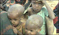 По данным ООН, почти миллиард жителей Земли страдают от недоедания