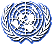 Состоялось очередное заседание бюро Комитета религиозных неправительственных организаций при ООН