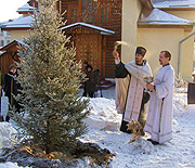 В Красноярске высажена хвойная аллея в память о Святейшем Патриархе Алексии