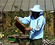 В Днепропетровской епархии состоится форум пчеловодов