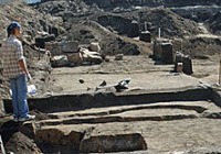 Частокол тысячелетней давности обнаружен на раскопках в новгородском Кремле