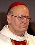 Кардинал Эрдё отмечает, что возможную встречу Святейшего Патриарха Алексия с Папой Бенедиктом XVI не следует 'форсировать'