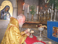 Блаженнейший митрополит Владимир во главе паломнической группы с Украины побывал на Святой Земле