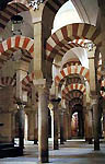 Епископ города Кордова (Испания) отказал мусульманам в просьбе предоставить им для молитвы кафедральный собор